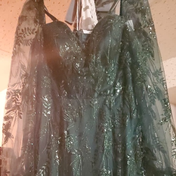 Green Sparkly Evening Gown - Picture 7 of 9